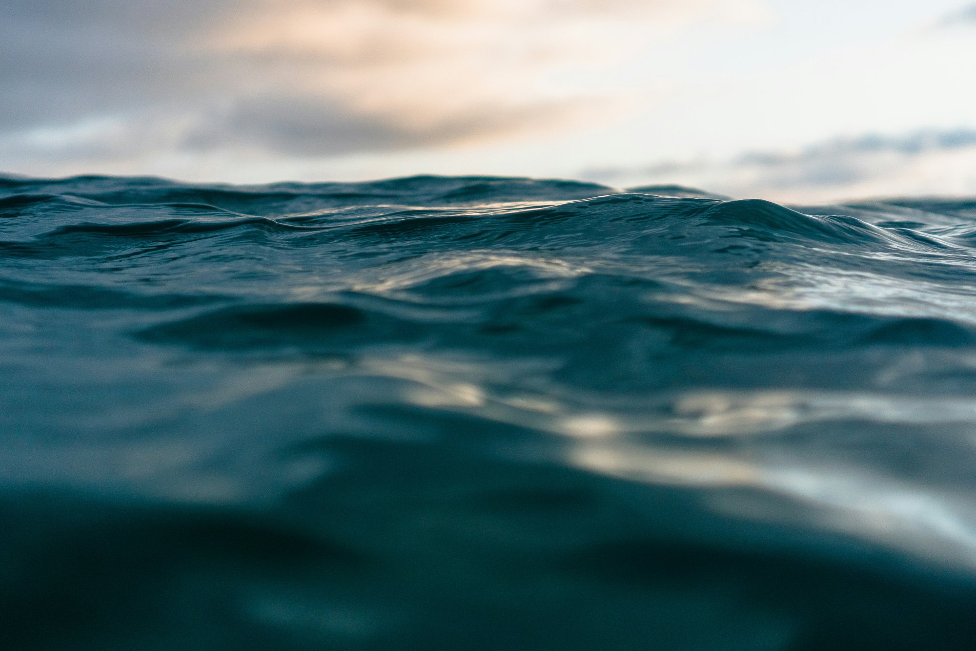 matt-hardy-W3EM4m2HsLY-unsplash