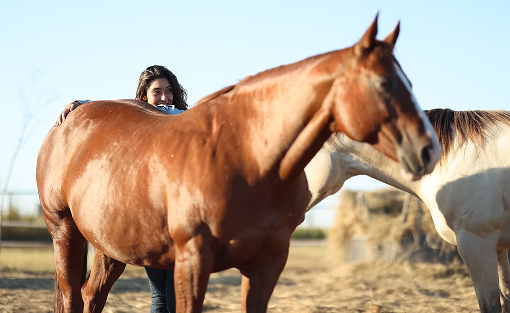 ruby-horse