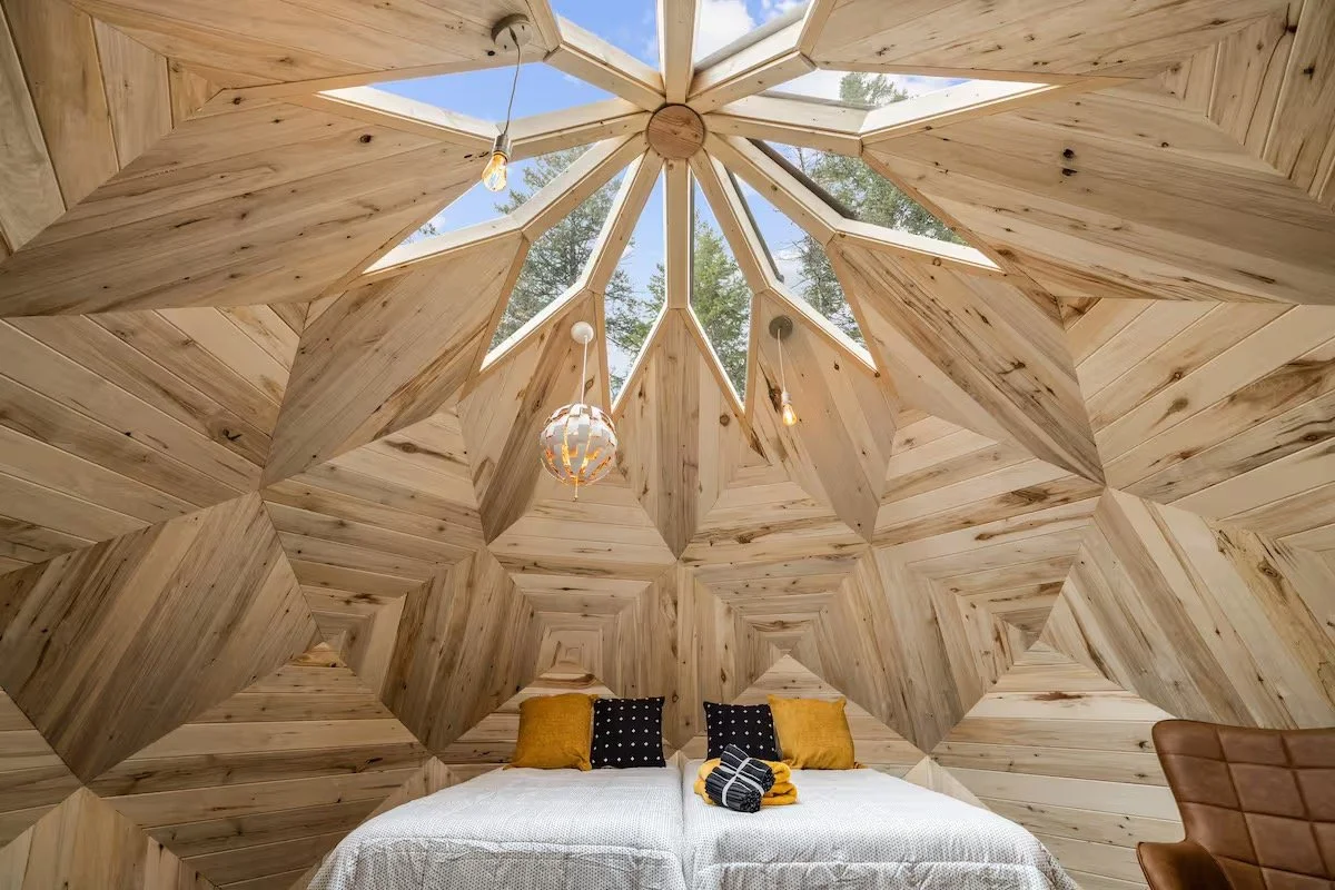 Looking up inside a dome to the skylights radiating from its apex, timber facets converging overhead and pines visible through the glass.