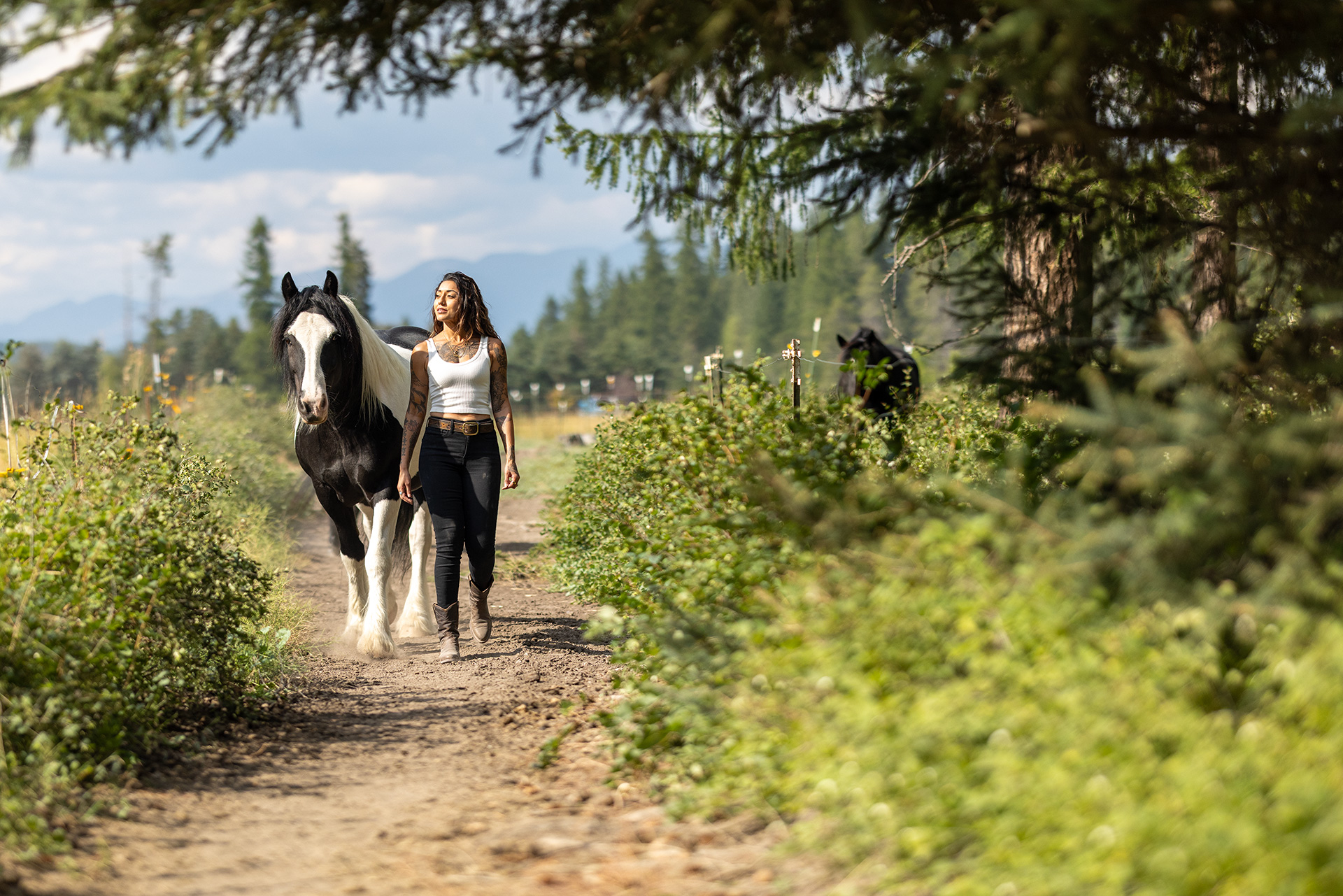 Ruby Fremon walking a dirt track between overgrown verges with a black-and-white paint horse loose beside her, a second horse standing further back among the pines.