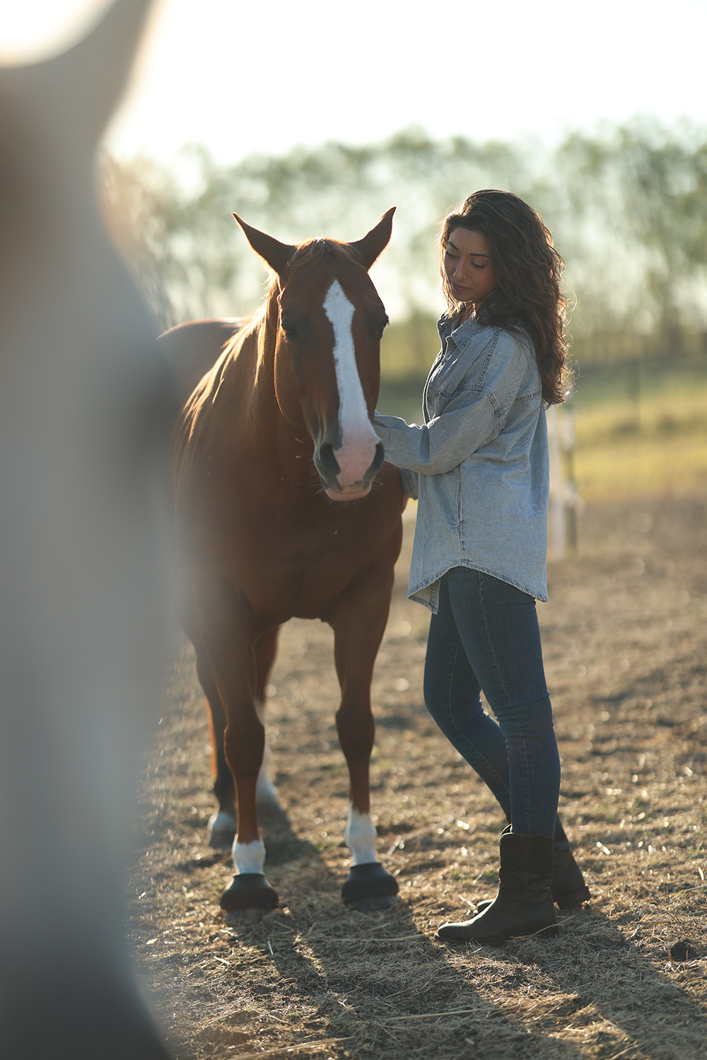 Ruby Fremon in a denim shirt standing at the shoulder of a chestnut horse in a backlit paddock, her head lowered toward it.